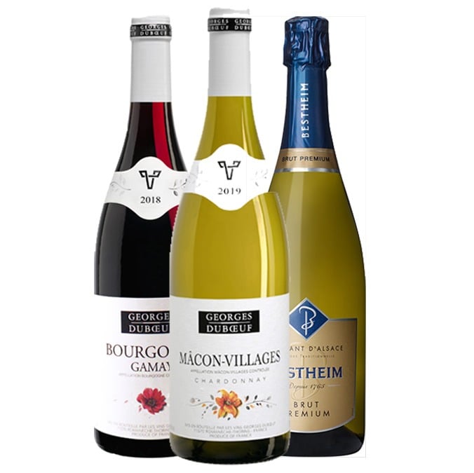 חבילה צרפתית טרי קולור